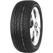 225/55 R17 KAPSEN RW505 101V TL
